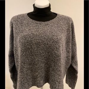 Eileen Fisher bateau neck box top sweater LRG